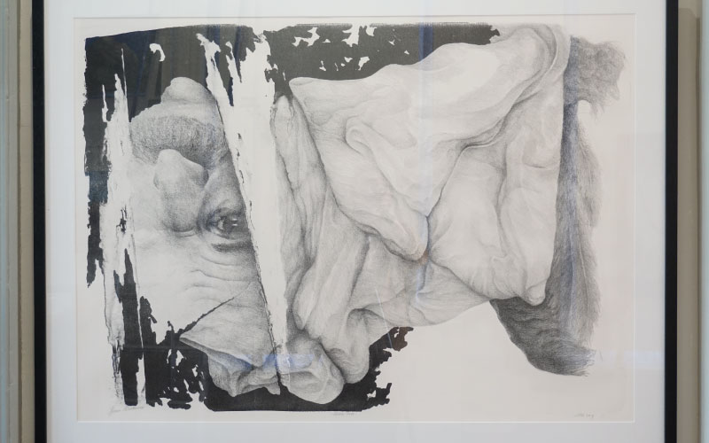 Kunstwerk van Herman Noordermeer